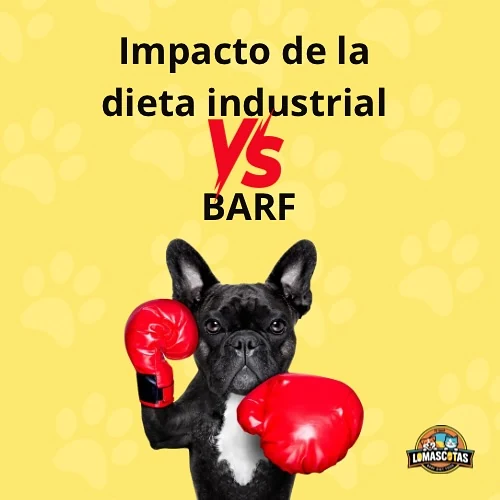 Publicación de LoMascotas: Dieta industrial y BARF