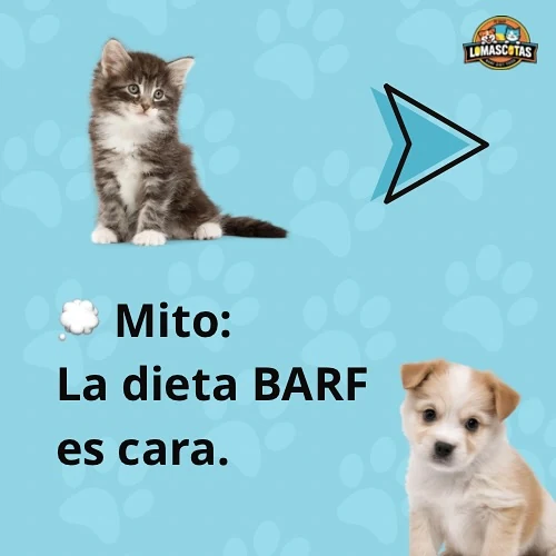 Publicación de LoMascotas: Tu tiempo y su alimentación